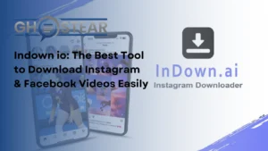 Indown io