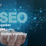 SEO Instant Appear Highsoftware99.com